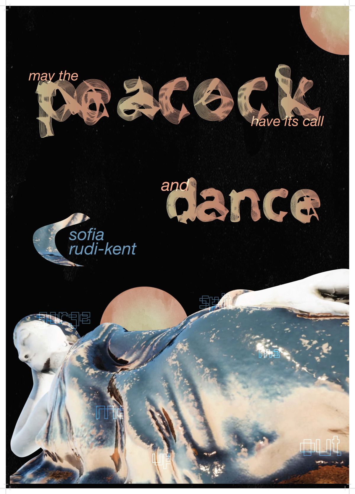 Poster made by Eimear O'Keane for video piece 'may the peacock have its call and dance', coding used to construct font'.