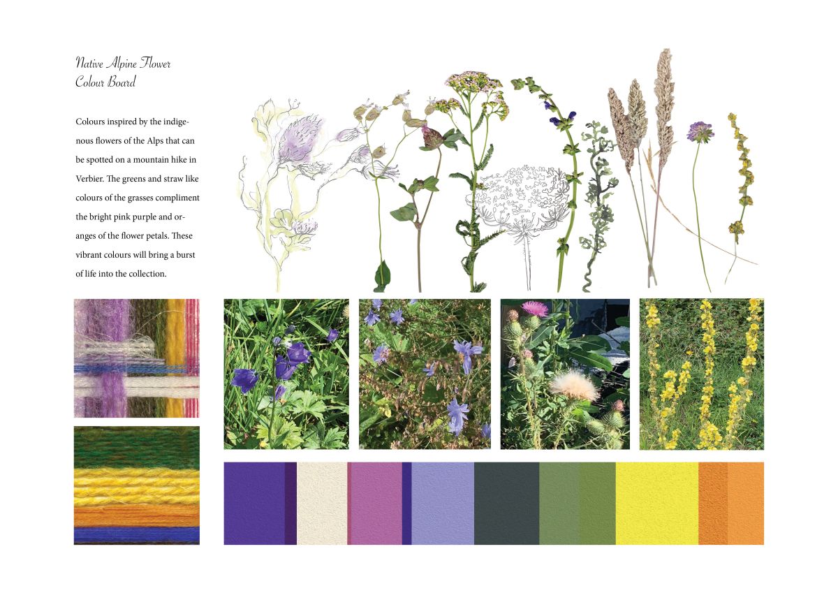 Native Alpine flower colour board