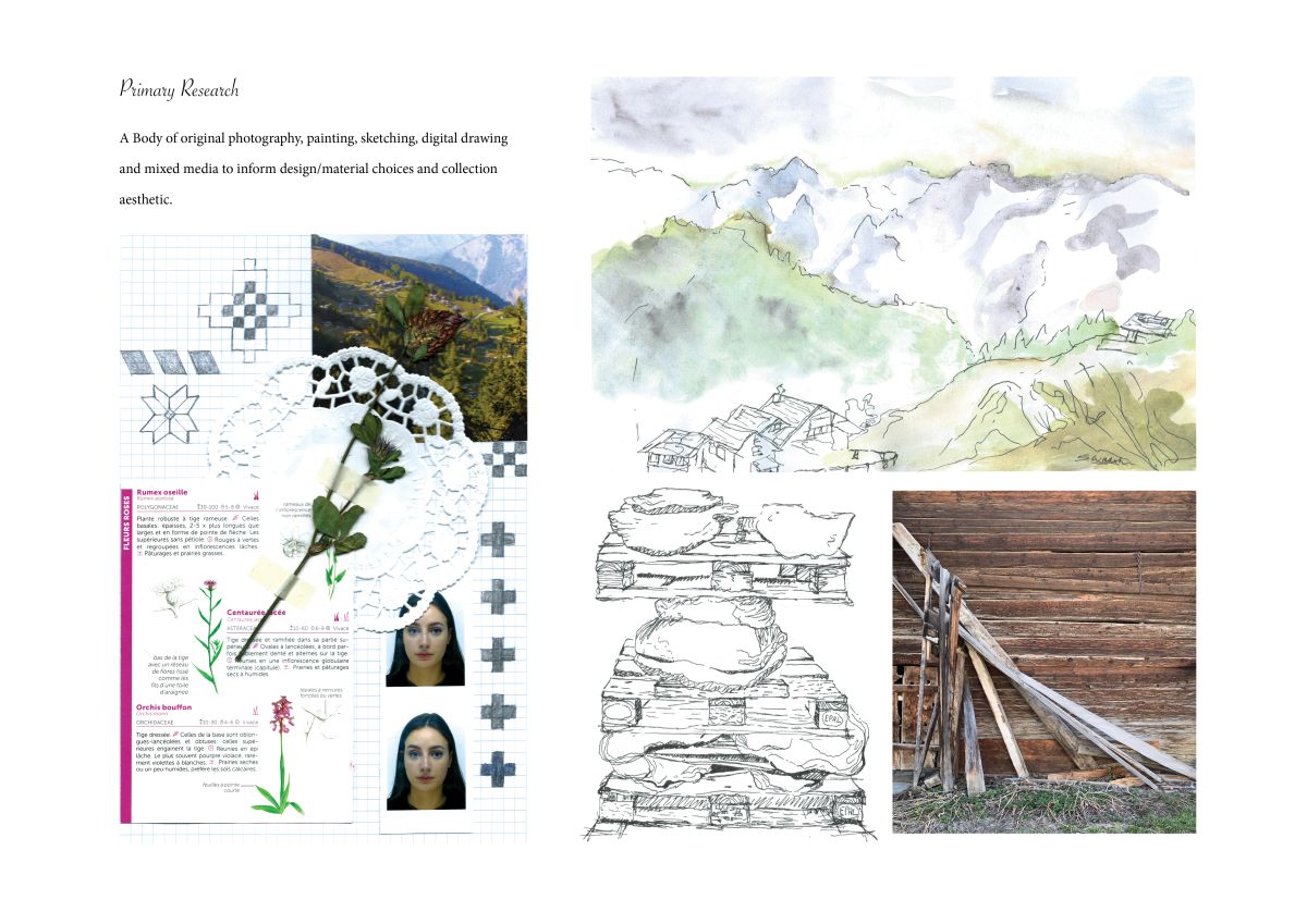 Primary research images